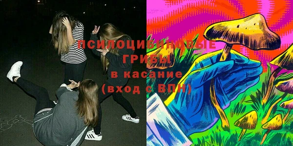 хмурый Армянск